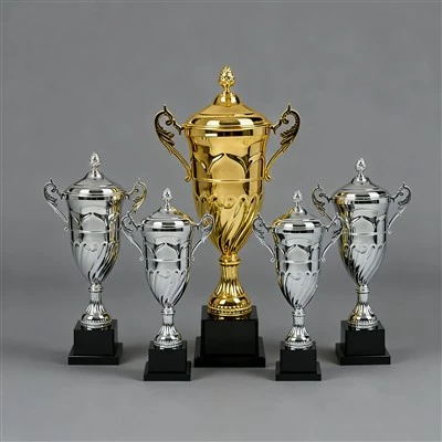 Grouss Silver Trophy Coupe